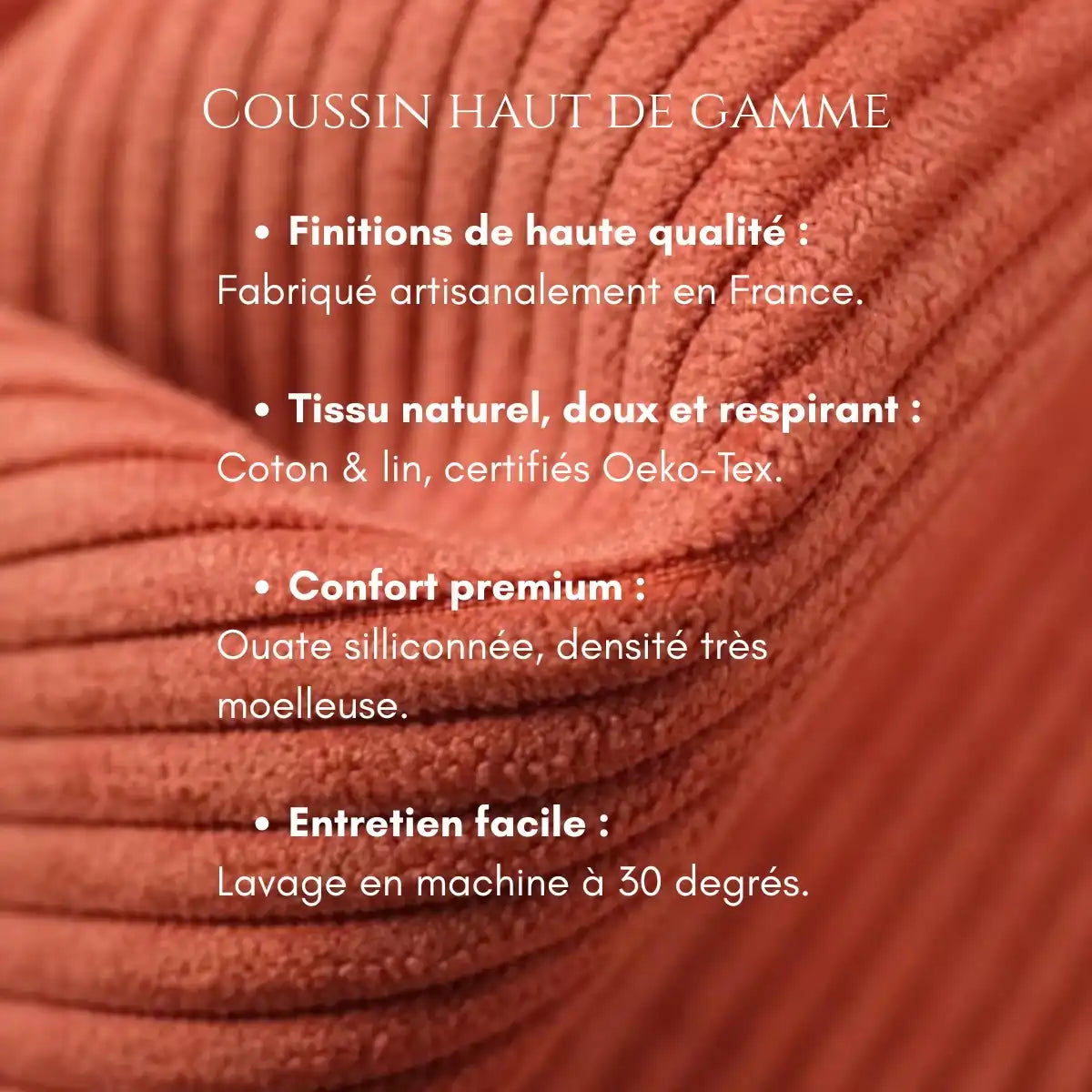 Petit oreiller de voyage Pilomano made in France. Coussin de qualité.